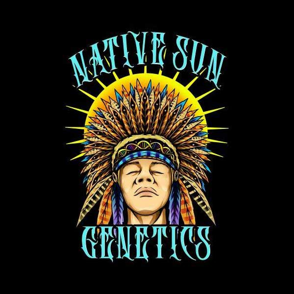 Native Sun Genetics